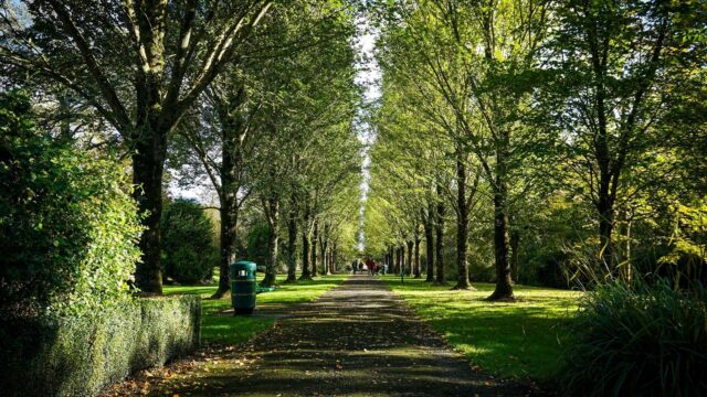Adare Town Park