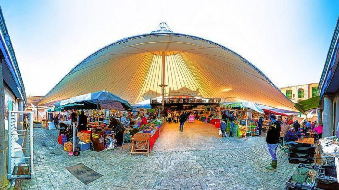 Milk Market