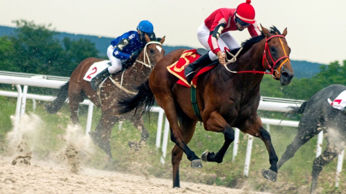 horse racing