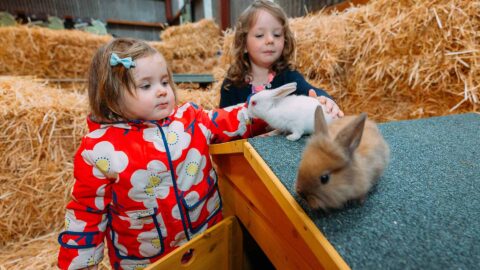 sch_shannon_heritage_pet_farm