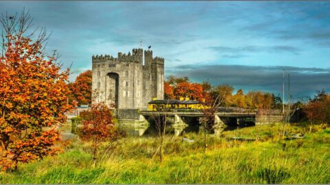 Bunratty Castle