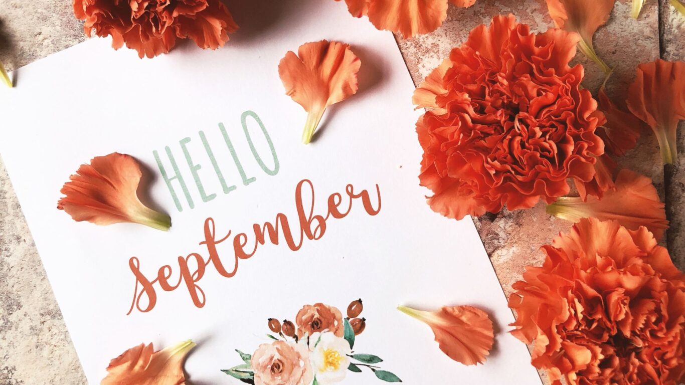 September Savings – South Court